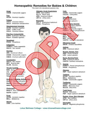 Load image into Gallery viewer, Homeopathic Bundle - Books & Charts