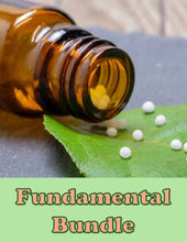 Load image into Gallery viewer, Fundamental Class Bundle