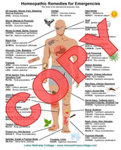 Load image into Gallery viewer, Homeopathic Bundle - Books & Charts