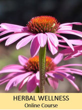 Load image into Gallery viewer, Herbal Wellness