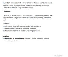 Load image into Gallery viewer, Isopathic Remedies - Revised Digital Edition
