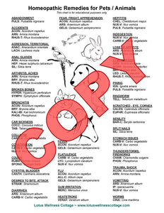 Homeopathic Pet Chart