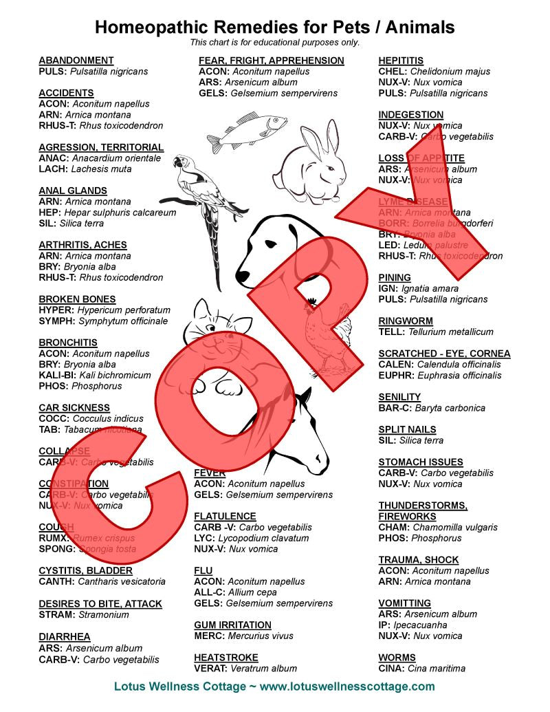 Homeopathic Pet Chart