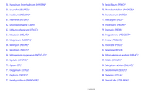 Load image into Gallery viewer, Tautopathic Remedies - Revised Digital Edition
