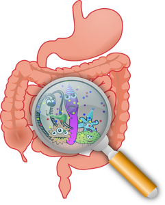 Digestive Disorders