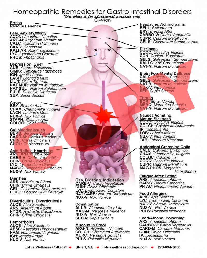 Homeopathic Gastrointestinal Man (GI-Man) Chart