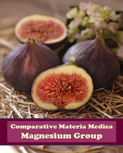 Comparative Materia Medica (Magnesium Group)